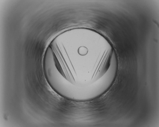 X0000099421516200806060943