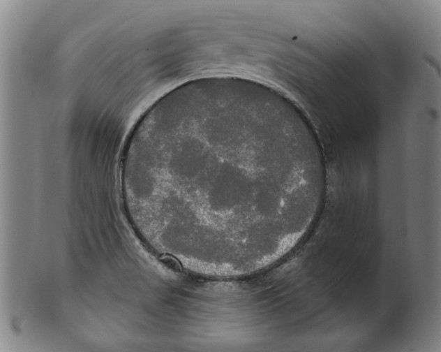 X0000099421517200806060943