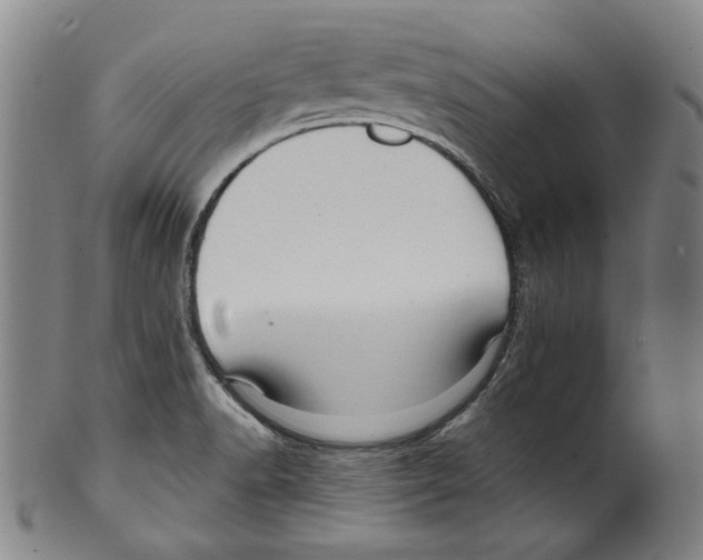 X0000099421518200806060943