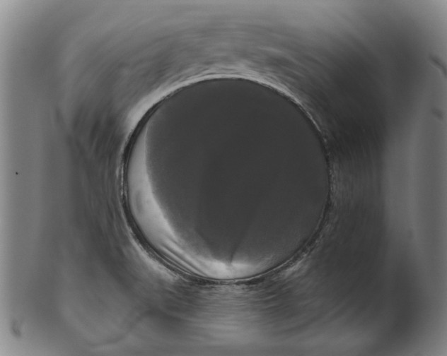 X0000099421519200806060943