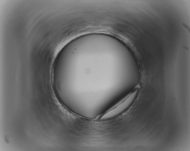 X0000099421520200806060943