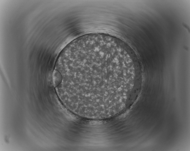 X0000099421521200806060943