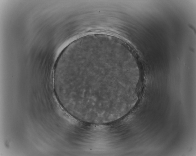 X0000099421522200806060943