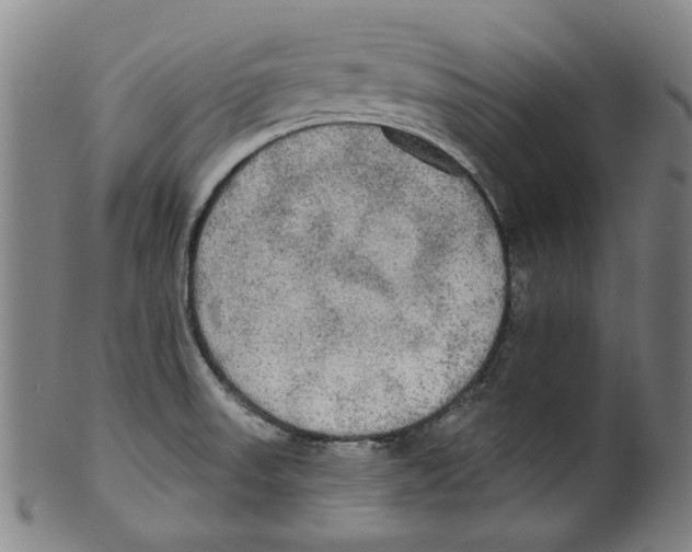 X0000099421523200806060943