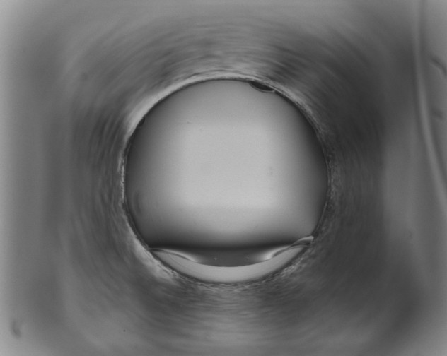 X0000099421524200806060943