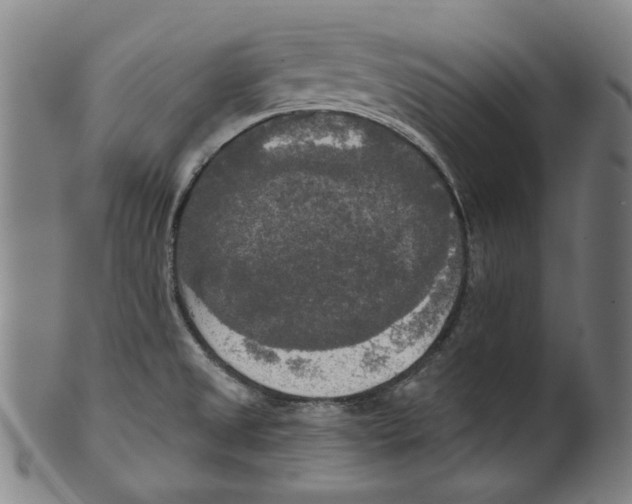 X0000099421525200806060943