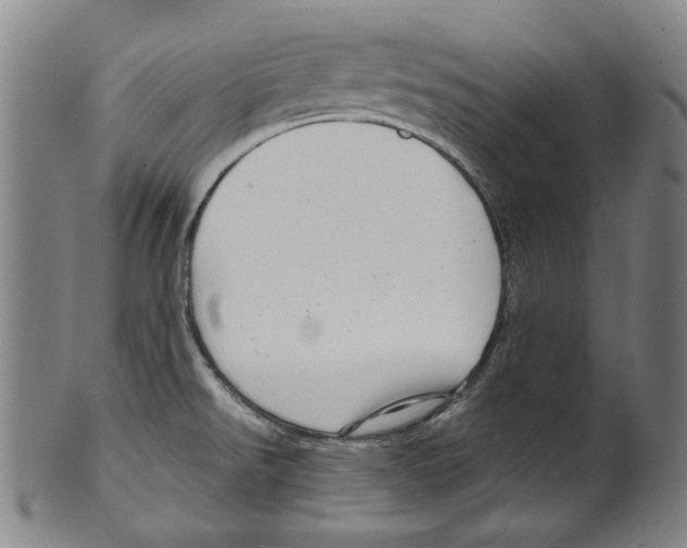 X0000099421526200806060943