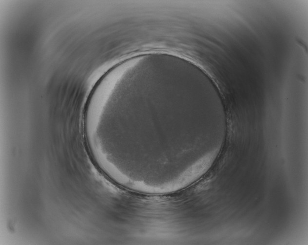 X0000099421527200806060943