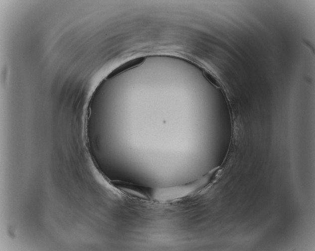 X0000099421528200806060943