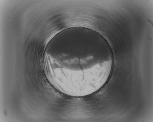 X0000099421529200806060943