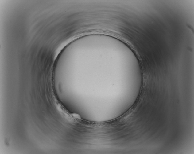 X0000099421530200806060943