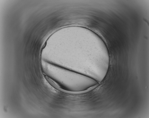 X0000099421532200806060943