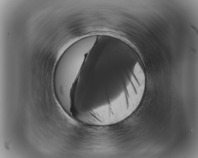 X0000099421533200806060943