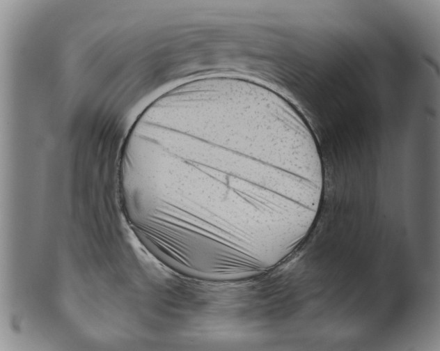 X0000099421534200806060943