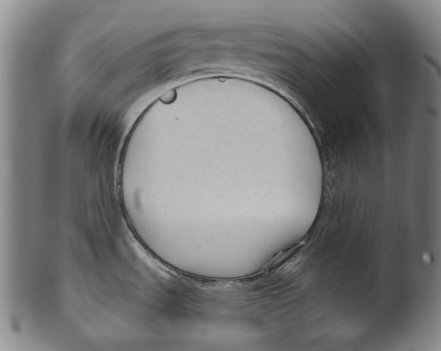 X0000099421535200806060943