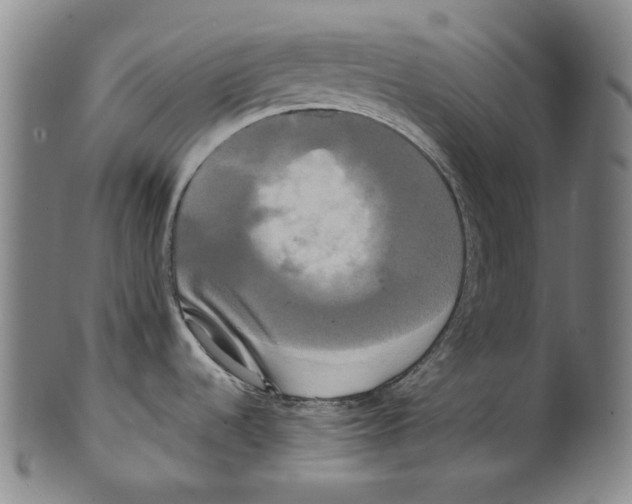 X0000099421536200806060943