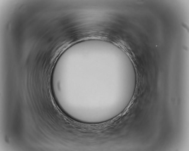 X0000099430001200805090736