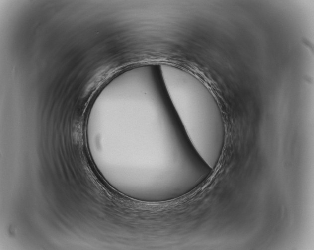 X0000099430002200805090736