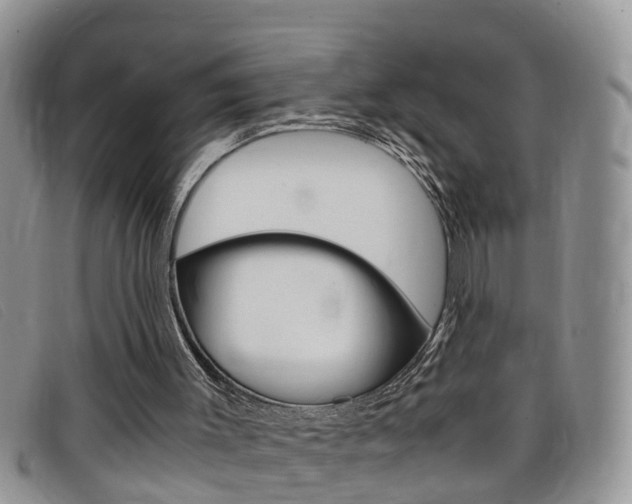 X0000099430003200805090736