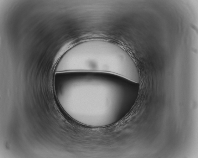X0000099430004200805090736