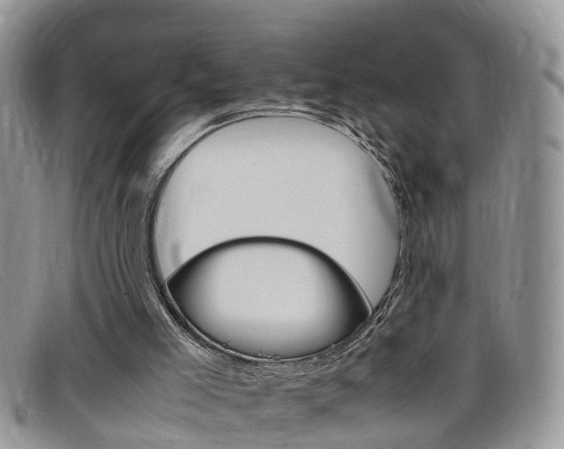 X0000099430005200805090736