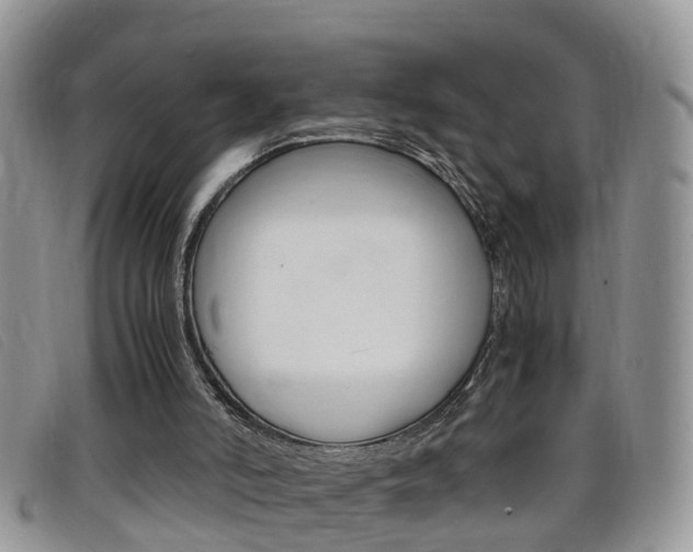 X0000099430006200805090736