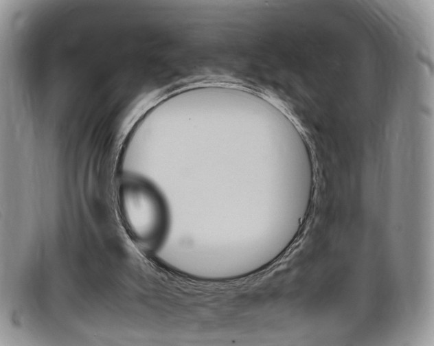 X0000099430007200805090736