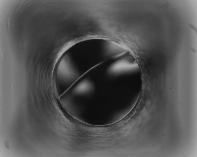 X0000099430008200805090736