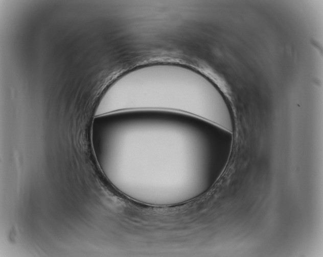X0000099430009200805090736