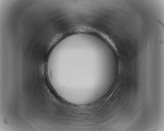 X0000099430010200805090736