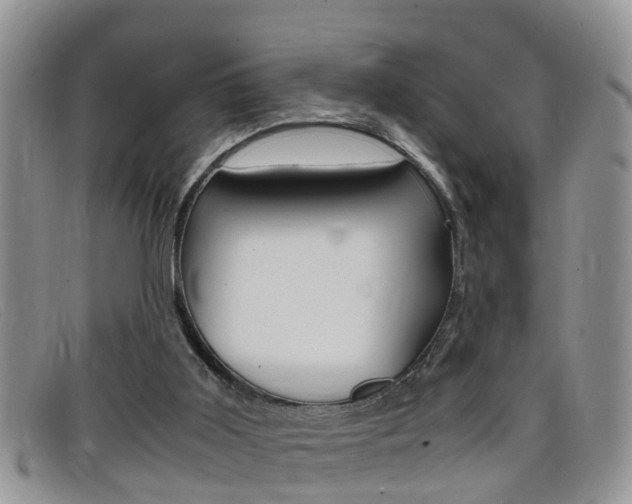 X0000099430011200805090736
