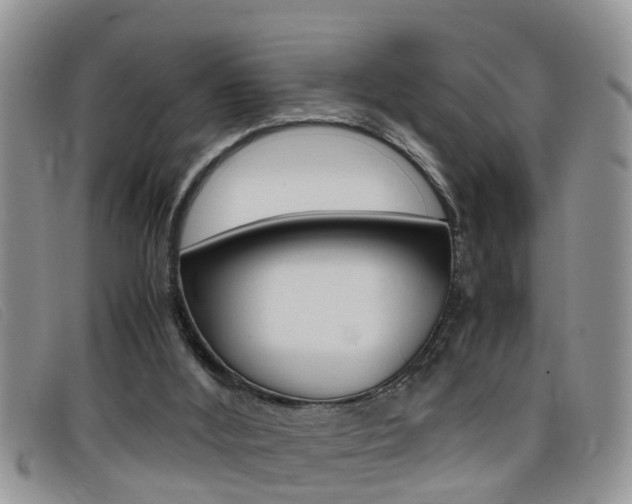 X0000099430012200805090736