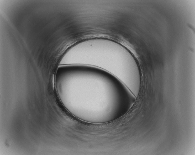 X0000099430013200805090736