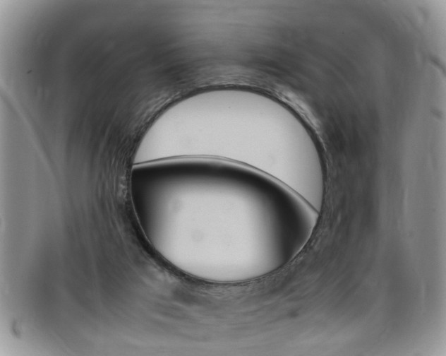 X0000099430017200805090736