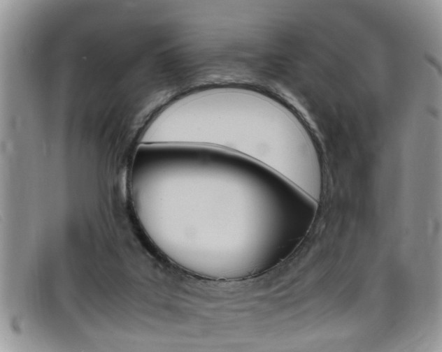 X0000099430019200805090736
