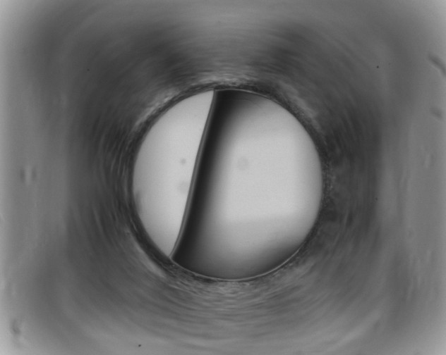 X0000099430020200805090736