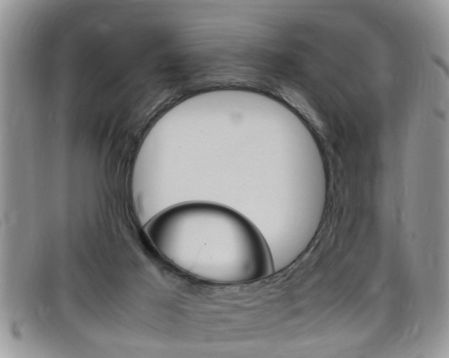 X0000099430021200805090736