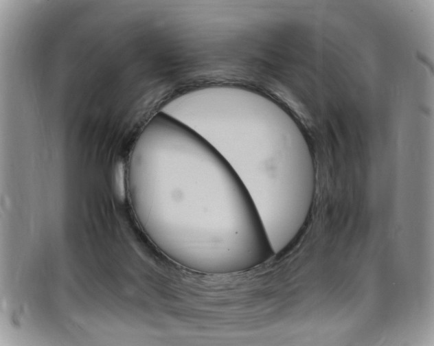 X0000099430022200805090736