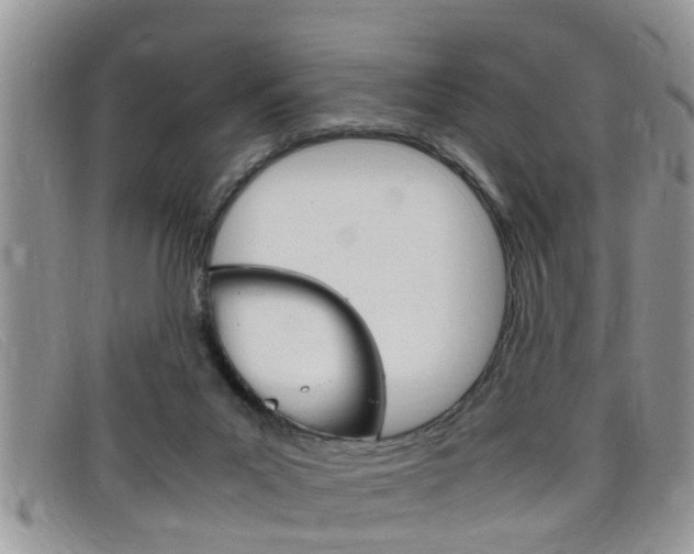 X0000099430023200805090736