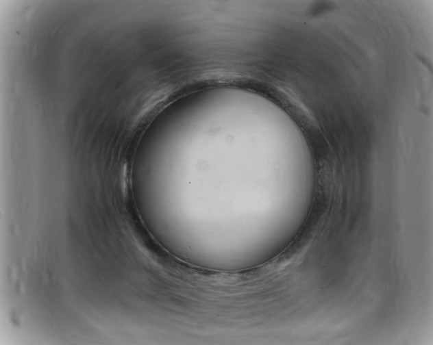 X0000099430024200805090736