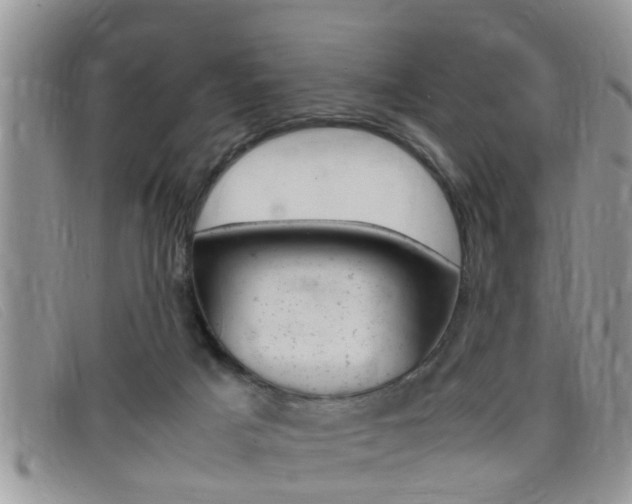 X0000099430025200805090736