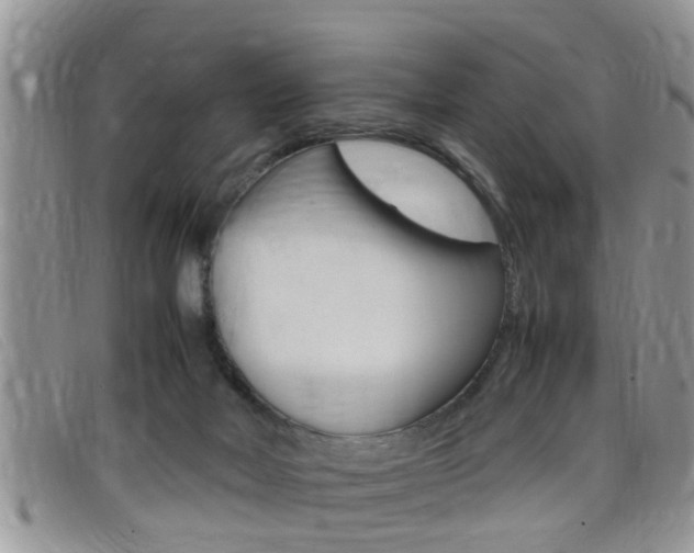 X0000099430026200805090736