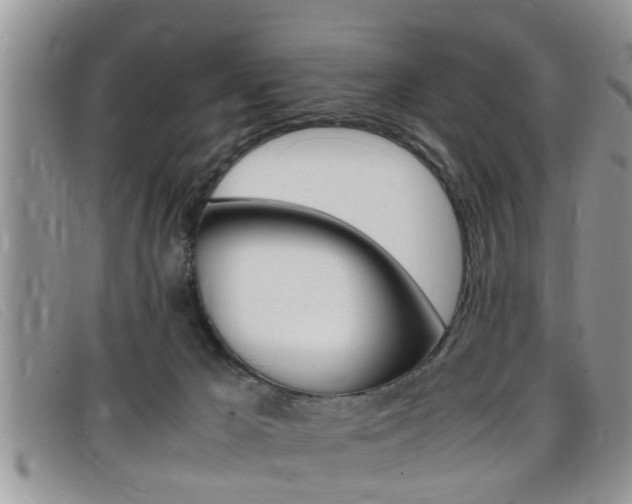 X0000099430029200805090736