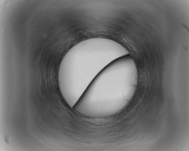 X0000099430030200805090736