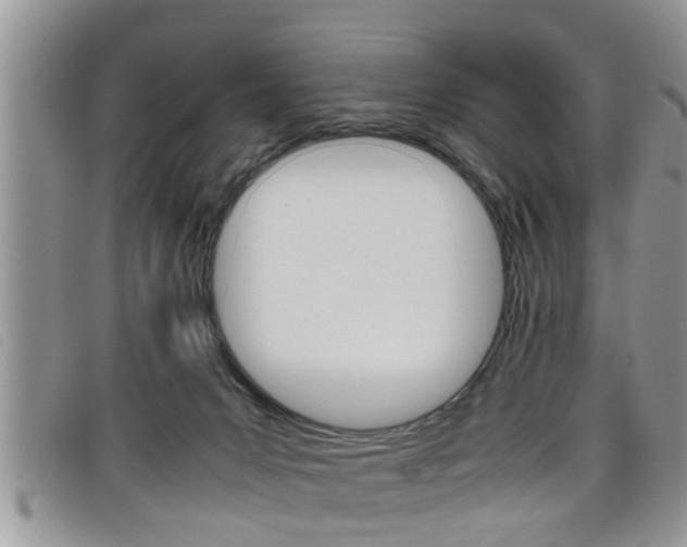 X0000099430031200805090736