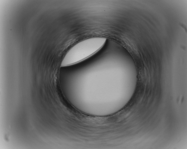 X0000099430032200805090736