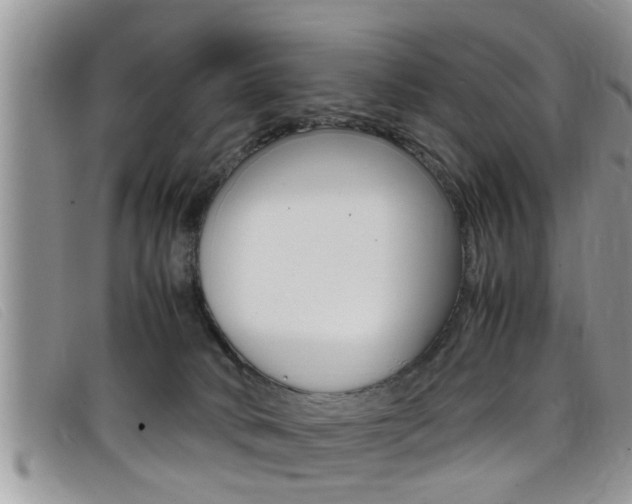 X0000099430034200805090736