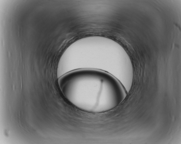 X0000099430035200805090736
