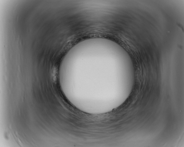 X0000099430038200805090736