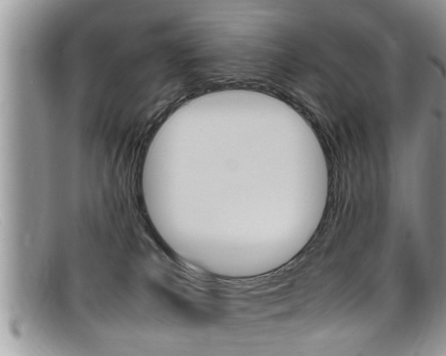 X0000099430039200805090736